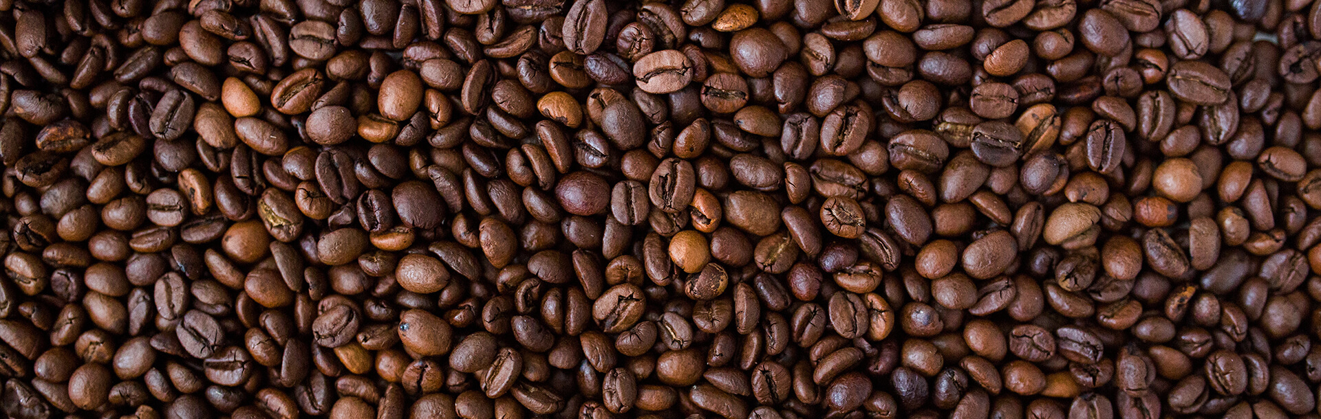 Professional photography of coffee beans